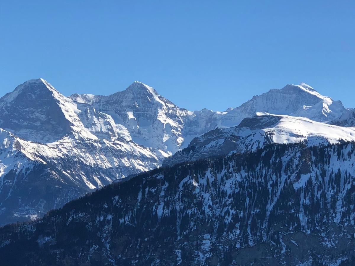 Wohnung Mit See Und Bergsicht Im Vier Sterne Hotel Beatenberg Exterior photo
